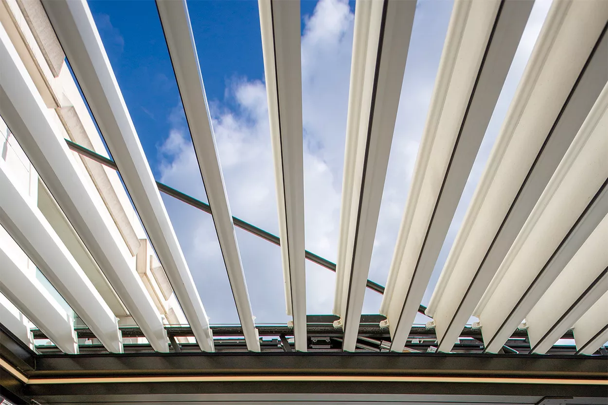 Become a Distributor