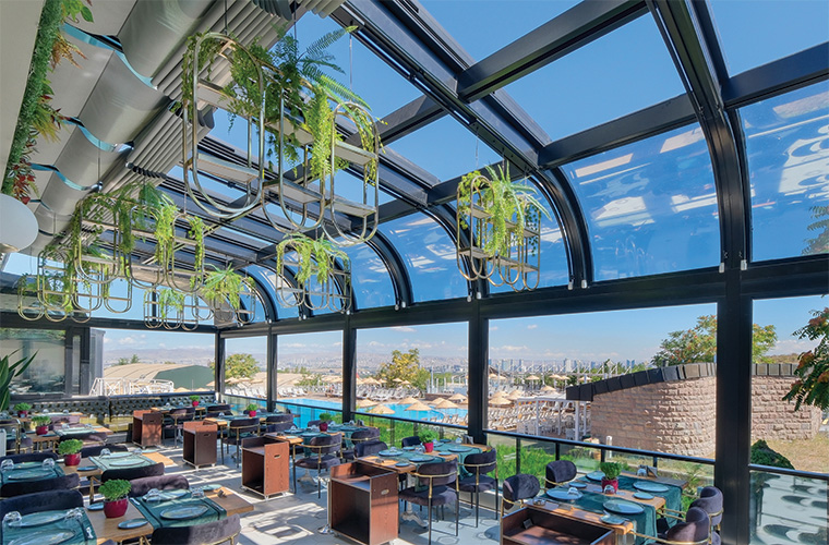 Dream Plus Gallery 1